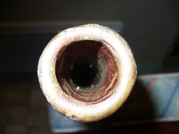 embouchure