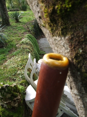 DSCF4192.JPG