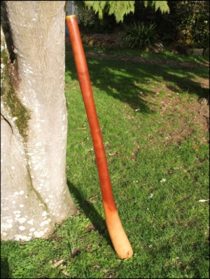 DSCF4191.JPG