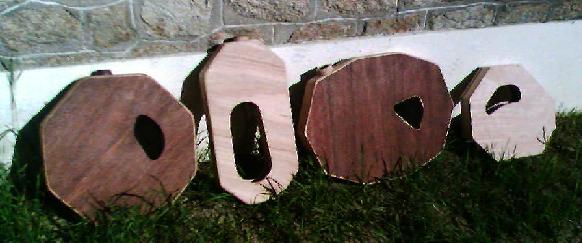 photos group didg.JPG