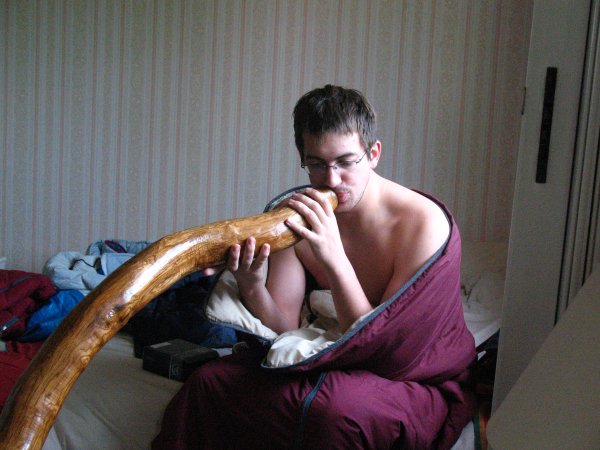 voila la photo d'un petit bout de la bête