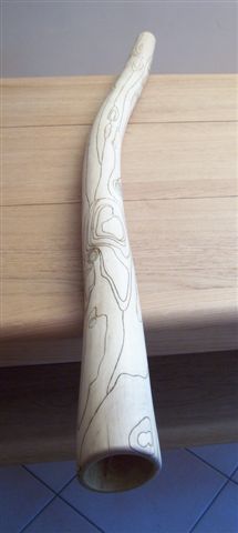 hêtre général.jpg