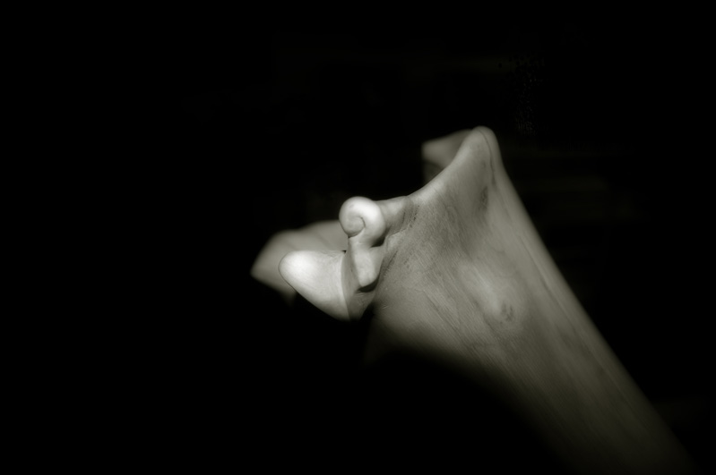 cloche sansisge noyer.jpg