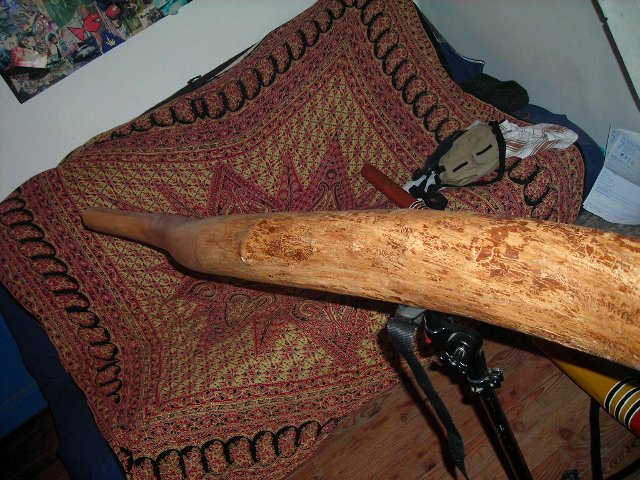 DSCN0076.JPG