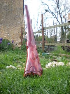DSCN1696-1.JPG