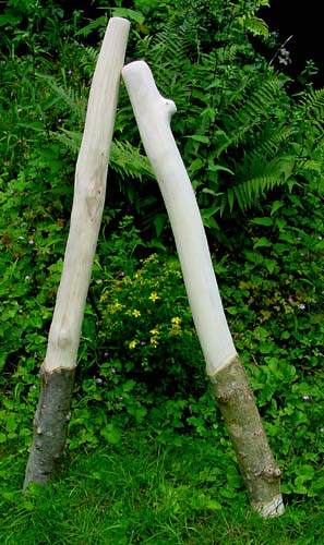 les deux frères.jpg