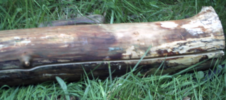PICT0034.JPG