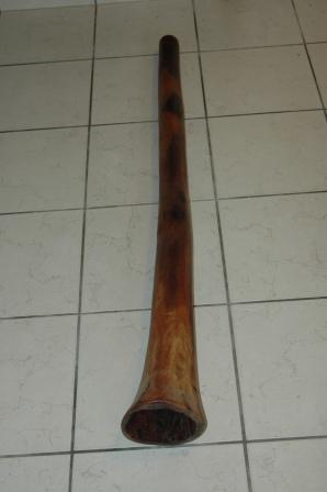 Ré_Bloodwood _FD.JPG