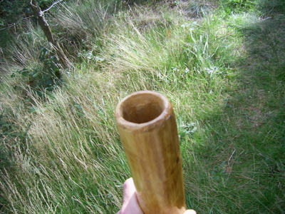 PIC_0008.resized.JPG