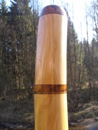 sorbus3.jpg