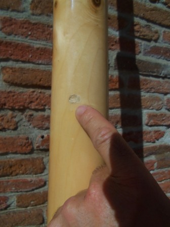 Photos didgeridooart 003.jpg