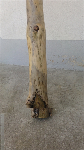DSC00972.jpg