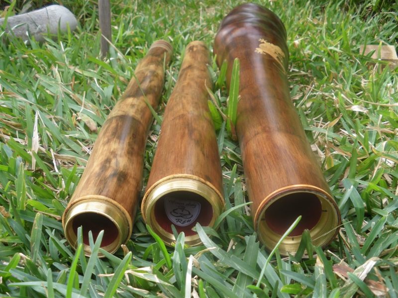IMGP7413.jpg