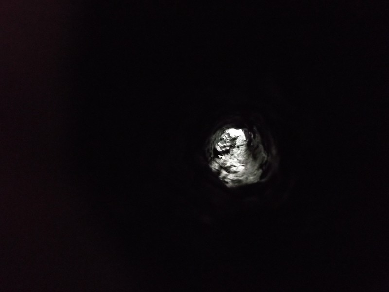 la lorgnette .jpg