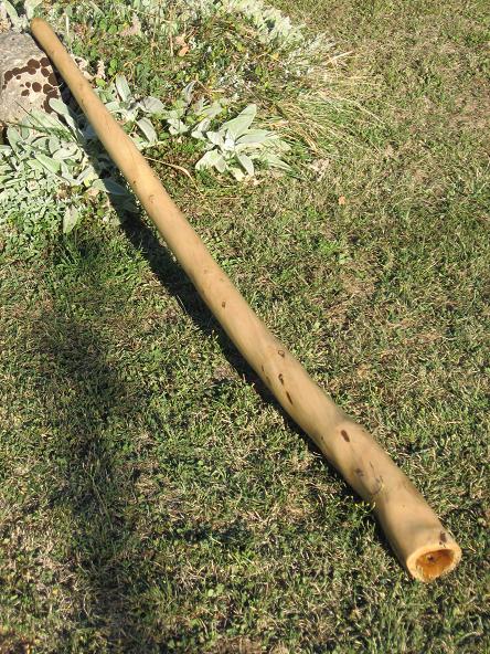 A servi à enregistrer "gros dégueulasse", donc de l'impro... après avoir été mis aux "normes" par Chad himself histoire d'être plus qu'efficace.