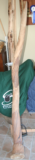 didgeridoo.PNG