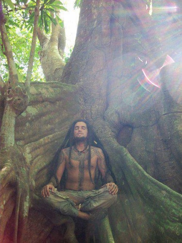 1506028_531578646939767_260001489_n (500x667) (375x500).jpg