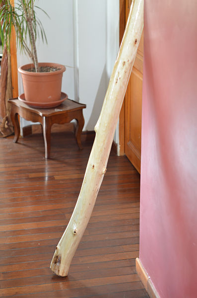 DSC_4208_opt.jpg