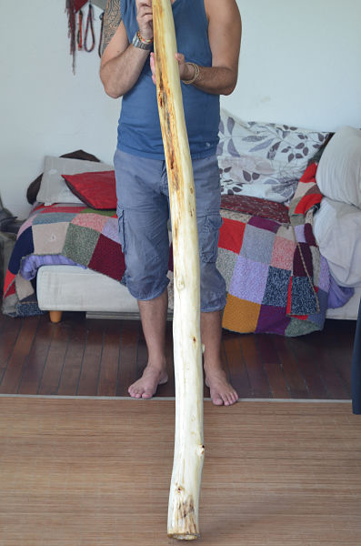 DSC_4213_opt.jpg