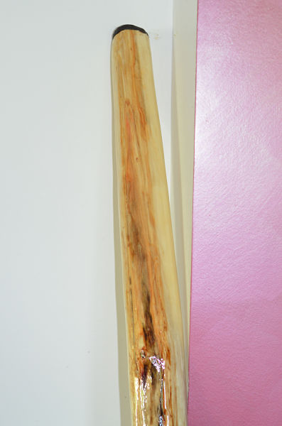 DSC_4211_opt.jpg