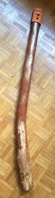 image3.jpeg
