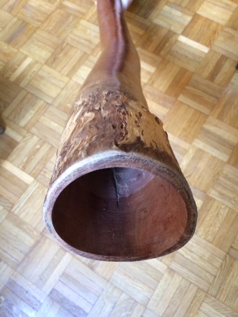 image5.jpeg
