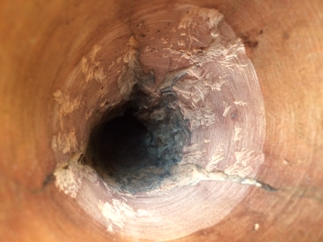 image7.jpeg