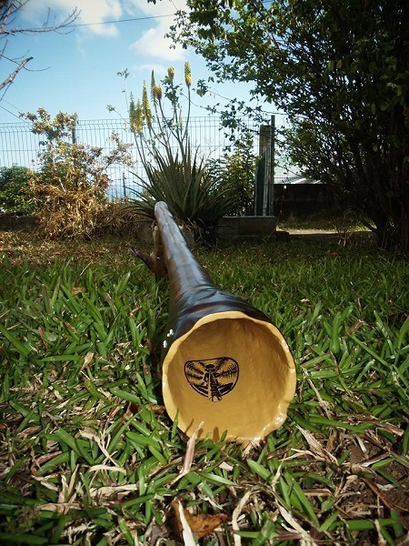 didg agave 2.2.jpg