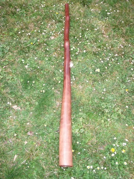 3 sandidgs 089 (Copier).jpg