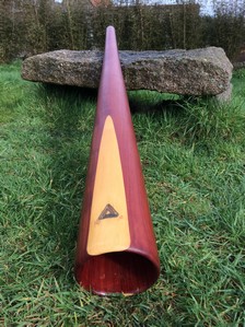 alex didge en MI 003.JPG