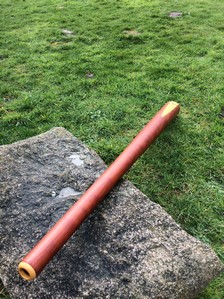 alex didge en MI 005.JPG