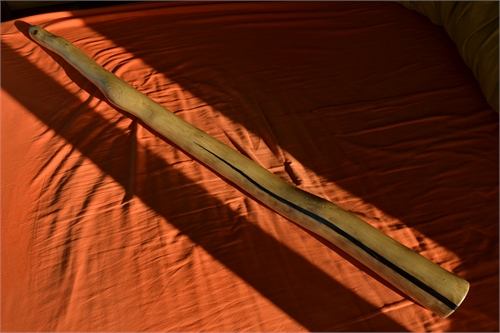 _DSC0005.JPG