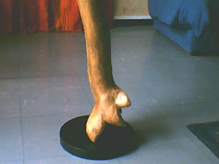 celui la est en PLATANE!!!j aime bien ca forme.
