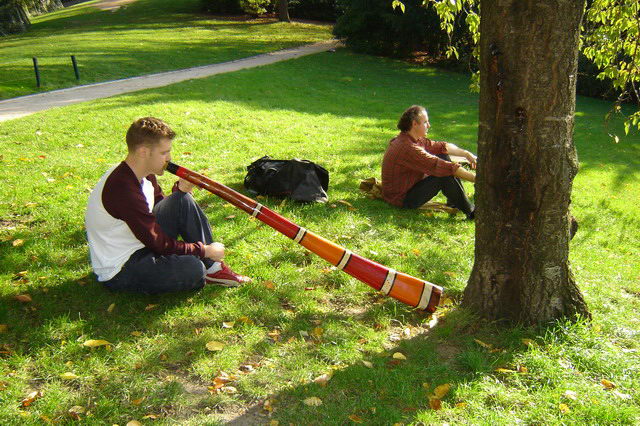 rudi contre arbre_resize.jpg