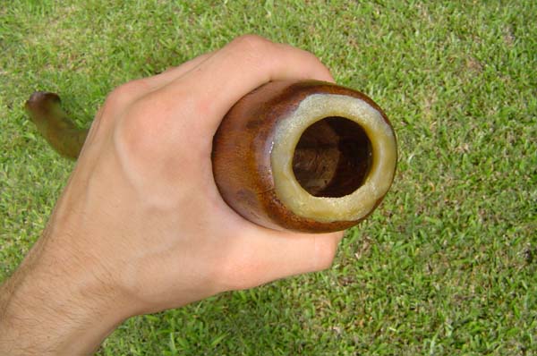 Sandeuca2.JPG