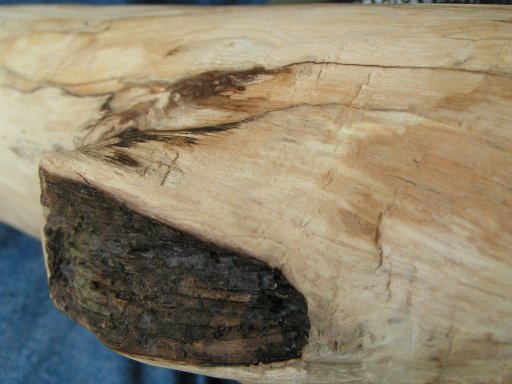 Pict0019.jpg