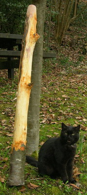 J'aime pas les perceuses !_.jpg