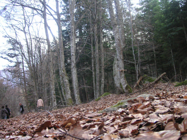 PICT0031.jpg