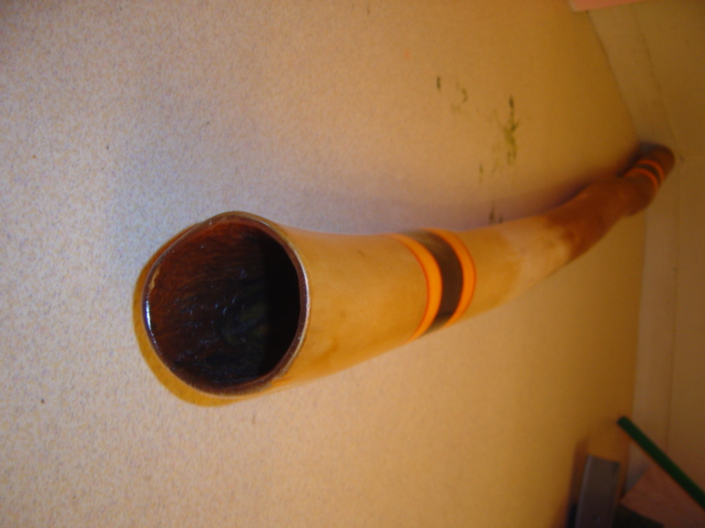 dsc03520_175.jpg