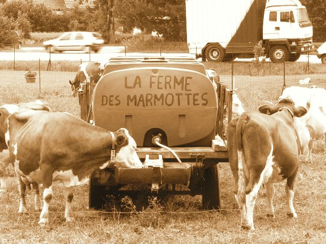 devant la salle des fêtes!