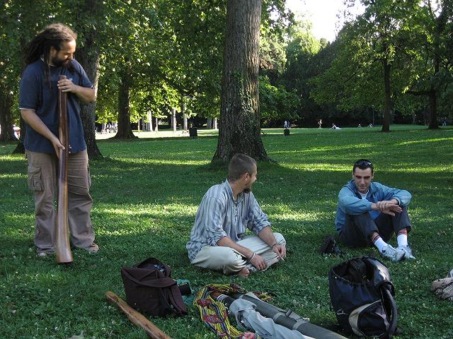 le joli parc.JPG
