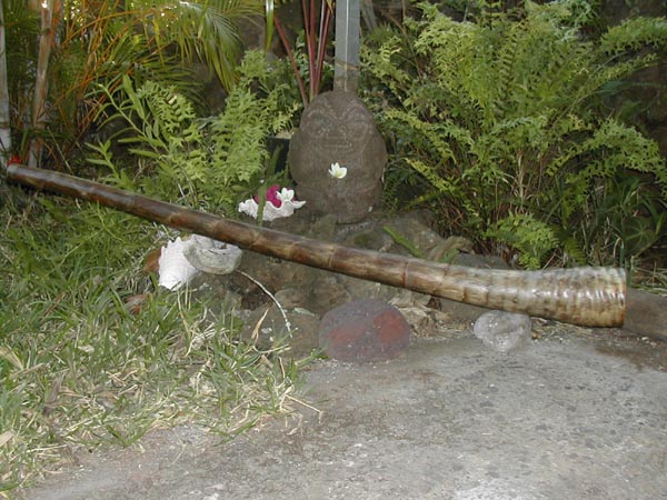 DSCN2119.jpg