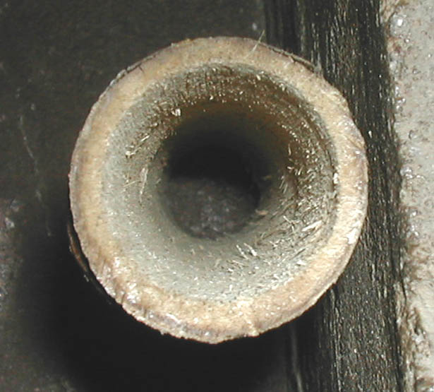 le boud d'agave apres le passage de la meule conique