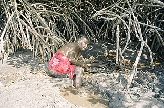 Dhopiya à la pêche aux crubbs et aux shells