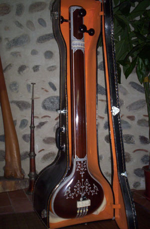 tampura-et-étui.jpg