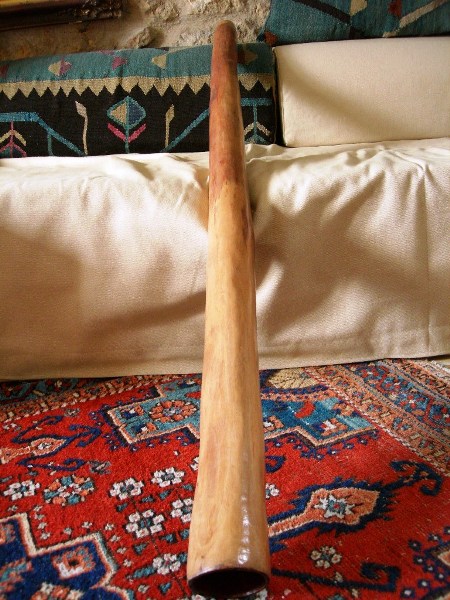 DSCN1276.JPG