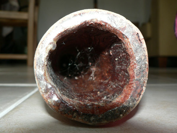 cloche.jpg