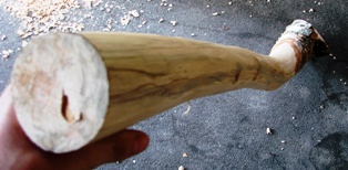 DSC00328.JPG