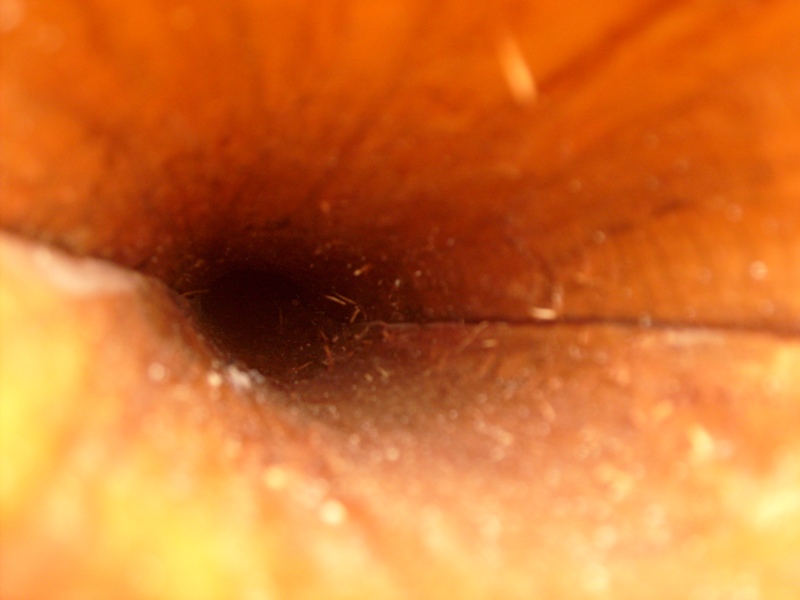 S6300665.JPG