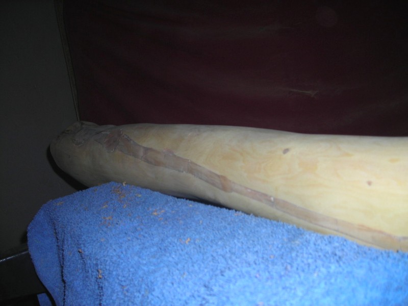 DSCN0139.JPG